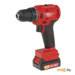 Дрель-шуруповерт Wortex BD 1220-1 DLi BD12201DLi1029