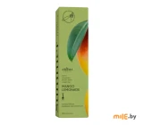 Диффузор ароматический Aroma Harmony Summer Mangо lemonade (SU7502) 60 мл