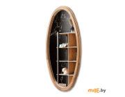 Зеркало бытовое в раме Алмаз-Люкс (М-405) 970x575 мм