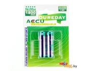 Комплект аккумуляторов Dureday BL2 HR6-2B-1800 (2 шт.)