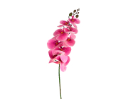Искусственное растение Орхидея (VIP566)