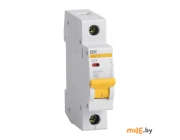 Автоматический выключатель IEK ВА47-29 (MVA20-1-063-C) 63 А