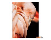 Репродукция на холсте STYLER "Фламинго" CA-12503, 60x80 см
