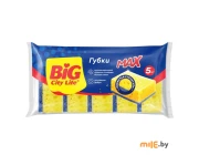 Губки Big City life Max 5 шт
