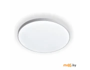 Светильник потолочный Leek LE062500-001
