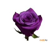 Искусственное растение Роза одиночная фиолетовая 78 см (16-0079)