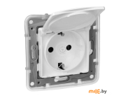 Розетка с крышкой Legrand Etika 672226 (белый)