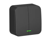 Выключатель Schneider Electric Blanca BLNVA105116 2 клавиши (антрацит)