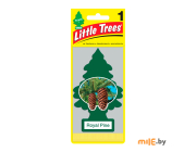 Ароматизатор Little Trees Королевская сосна (Royal Pine)