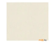 Обои виниловые на флизелиновой основе A.S.Creation TP Dreamwall (38507-1) 1,06х10 м
