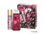 Подарочный набор Рексона Парфюмированная коллекция Антиперспирант спрей 150 мл и Camay гель для душа 250 мл