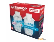 Комплект сменных модулей Аквафор B5 2 шт.