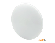 Светильник светодиодный накладной TruEnergy Bright Premium 11209