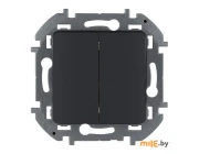 Выключатель двухклавишный Legrand Inspiria 673623 (антрацит)