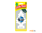 Ароматизатор Little Trees Сердце Севера (True North)