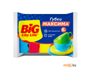 Губки Big City Life Максима 5 шт