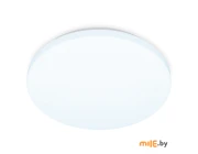 Светильник потолочный Wink FZ1010 WH