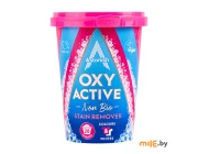 Пятновыводитель для стирки Astonish Oxy Active Stain Remover 625 гр