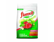 Удобрение Florovit для клубники 3 кг
