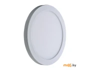 Светильник светодиодный TruEnergy Clip-on 10802