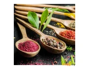 Картина на стекле Stamprint Специи в ложках 6 (КТ015) 50х50 см