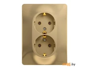Розетка Schneider Electric Glossa (GSL000424) (титан)