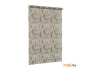 Штора рулонная Delfa Марс (СРШ-01М-27015) 47(43)х170 см