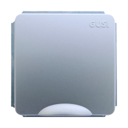 Розетка Gusi Electric Extra С1Р9-004 (матовое серебро)