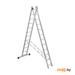 Лестница 2-секционная Алюмет 5212