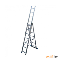 Лестница 3-секционная LadderBel LS307