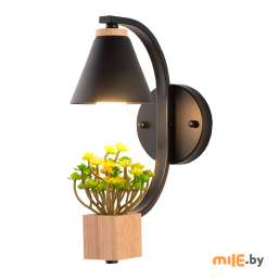 Светильник настенный Home Light B149-2