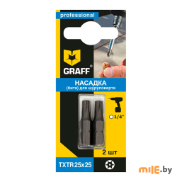 Бита TorxTR 25x25 мм (2шт.) GRAFF