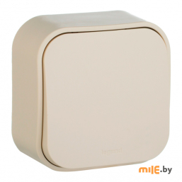 Выключатель Legrand 782230 (слоновая кость)