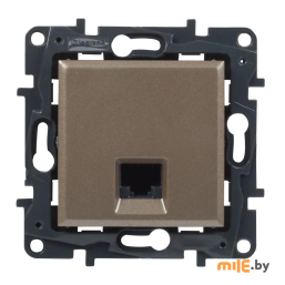 Розетка компьютерная Legrand 1хRJ-45 UTP CAT5E (764302) шампань