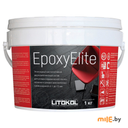Фуга Litokol EpoxyElite E.06 (мокрый асфальт) 1 кг