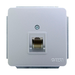 Розетка Gusi Electric Extra С1К1-004 (матовое серебро)