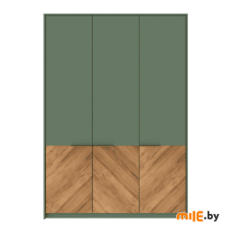 Шкаф Black Red White SZF3D (дымчатый зеленый, дуб вотан)