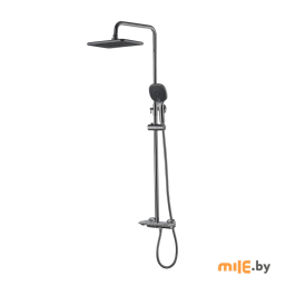 Штанга со смесителем и тропическим душем Ledeme L2418D