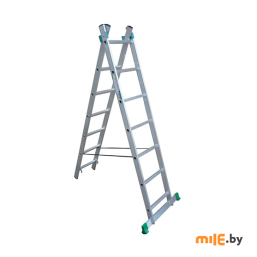 Лестница 2-секционная TARKO Skala 1209