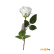 Искусственное растение роза (643)