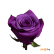 Искусственное растение Роза одиночная фиолетовая 78 см (16-0079)