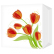 Салфетки однослойные Bgreen Тюльпаны 24х24 см (100 шт.)