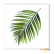 Репродукция на холсте STYLER "Пальмовый лист" CA-11956, 32x32 см