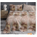 Комплект постельного белья евро Mona Liza Melissa Rene (5206/146) н(2)50x70 см