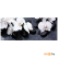 Картина на стекле Stamprint Белая орхидея 2 (SP005) 50х125 см