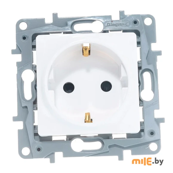 Розетка со шторками Legrand Etika 672222 (белый)