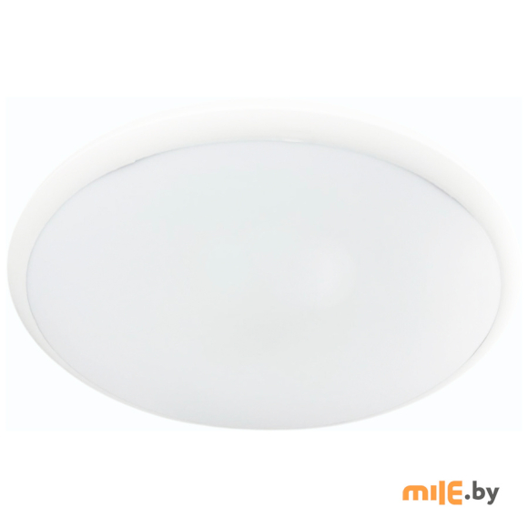 Светильник светодиодный накладной TruEnergy Comfort 11607 с регулируемой цветовой температурой