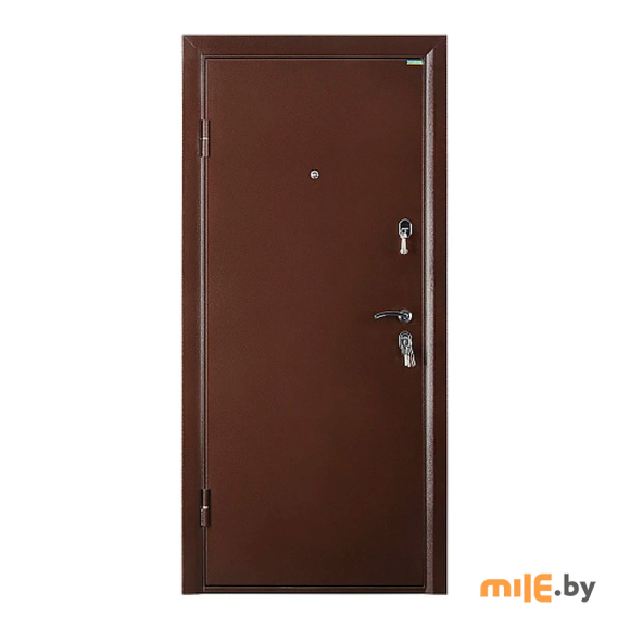 Дверь металлическая Промет Практик 504-2066/980 (правая) E8924