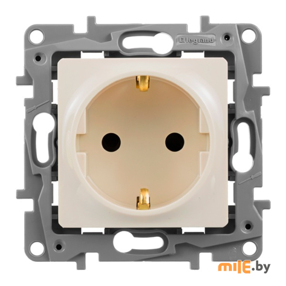 Розетка Legrand Etika 672322 (слоновая кость)