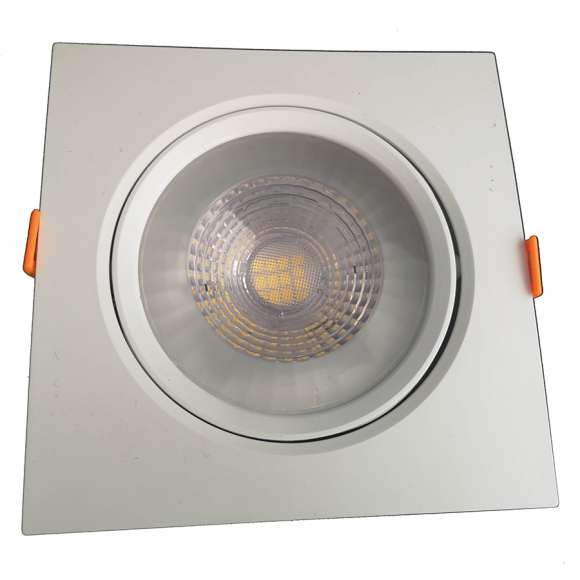 Светодиодный светильник Truenergy 10551